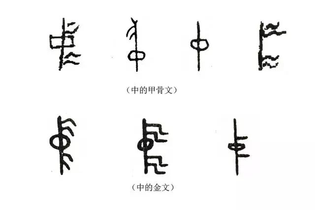 中字甲骨文写法图片图片