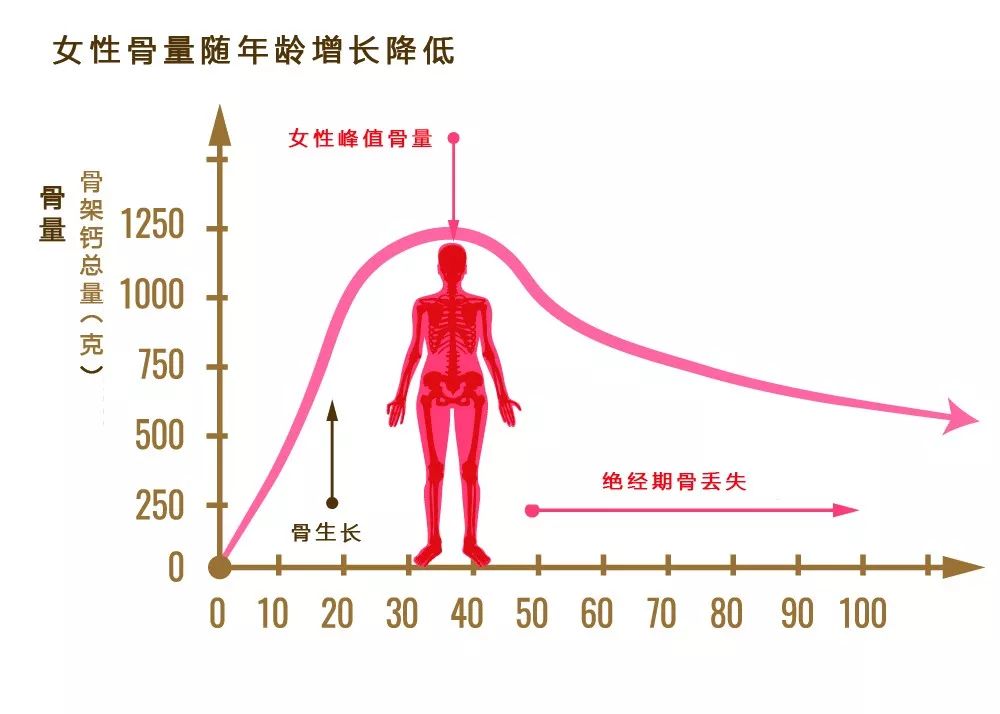 中国骨质疏松患者达16亿,骨矿银行只能在30岁以前充值,千万别晚了!