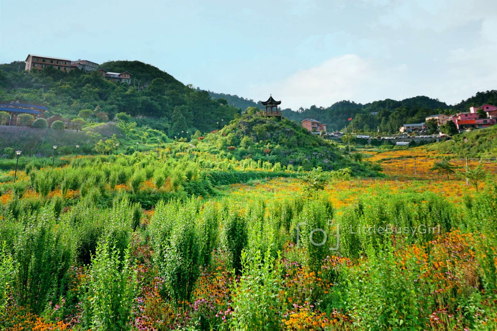 花坝旅游景区图片