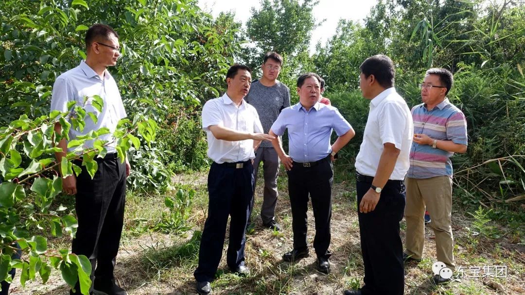 東寶實業集團總裁嚴鮮彩先生授予經營戶代表艾山江61玉蘇雲營業執照