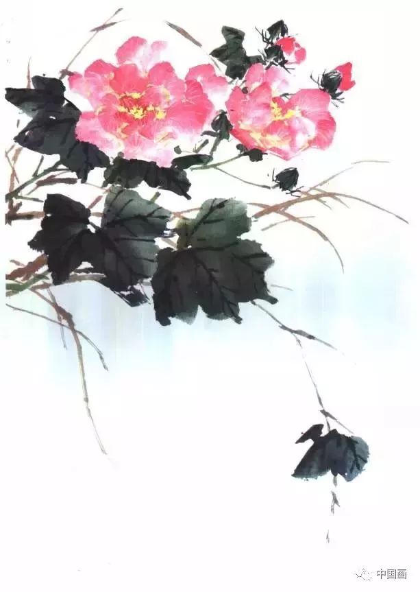 写意花鸟芙蓉花的画法