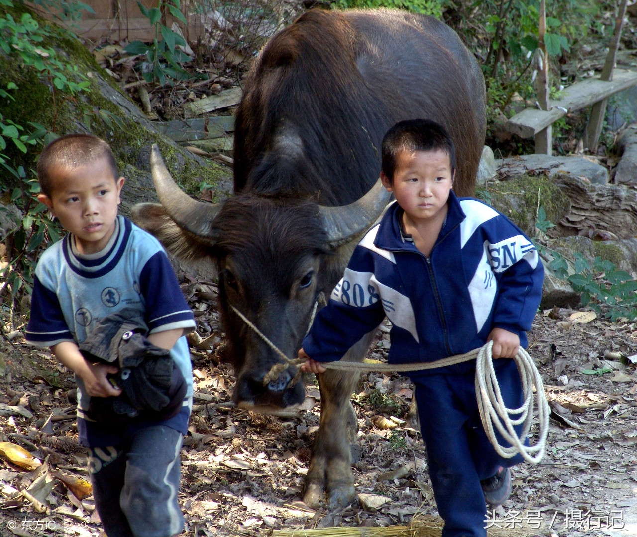 【山区的孩子们摄影图片】云南周边边境地区纪实摄影_太平洋电脑网摄影部落