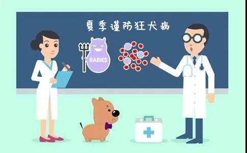 省疾控權威回應:江蘇市場上的狂犬疫苗仍可放心接種