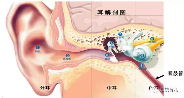 宝宝耳朵进水怎么办 能掏耳朵吗 视频指导如何护理宝宝耳朵