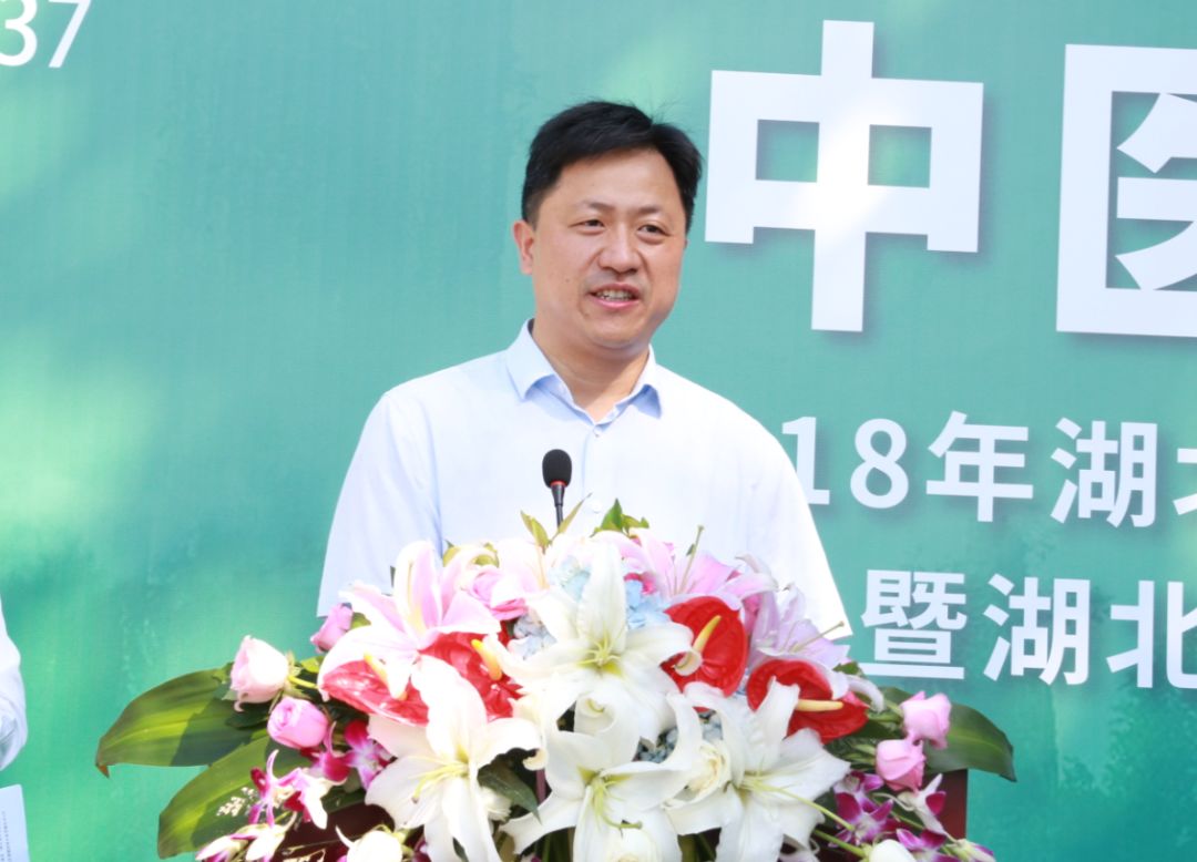 武汉市卫计委副主任舒劲松,汉阳区副区长肖永久,健民药业集团总裁徐胜