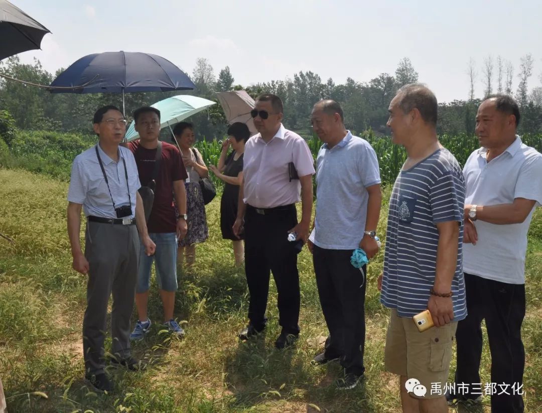 资讯丨中国古陶瓷学会会长孙新民一行莅临禹州考察唐代窑址