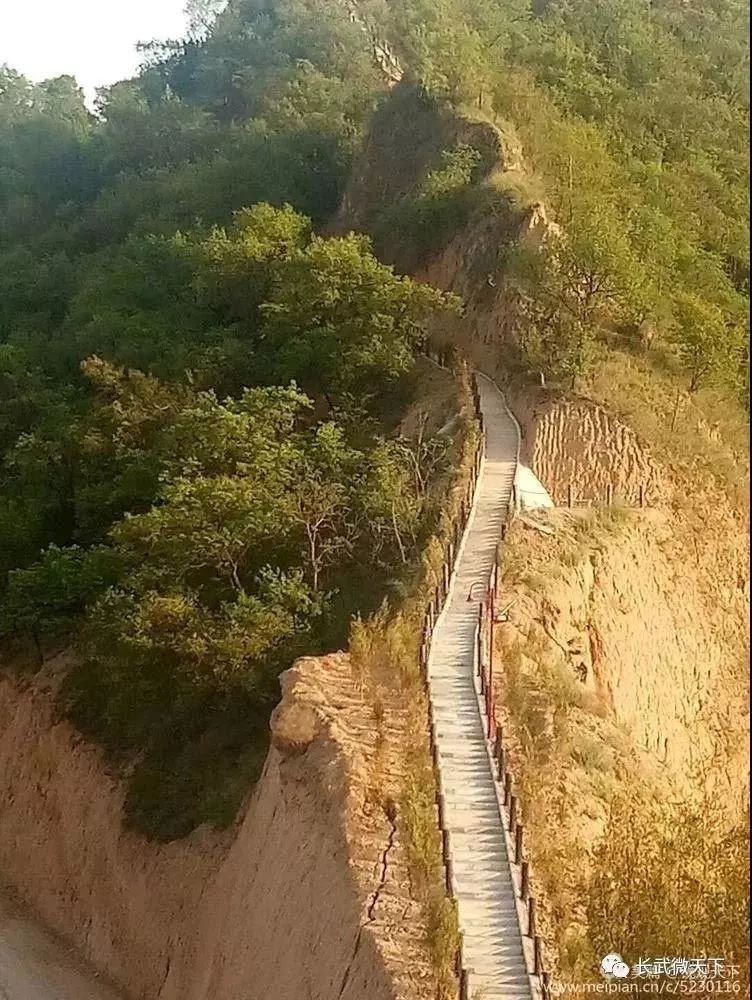 《彭大將軍》青龍山(相公)