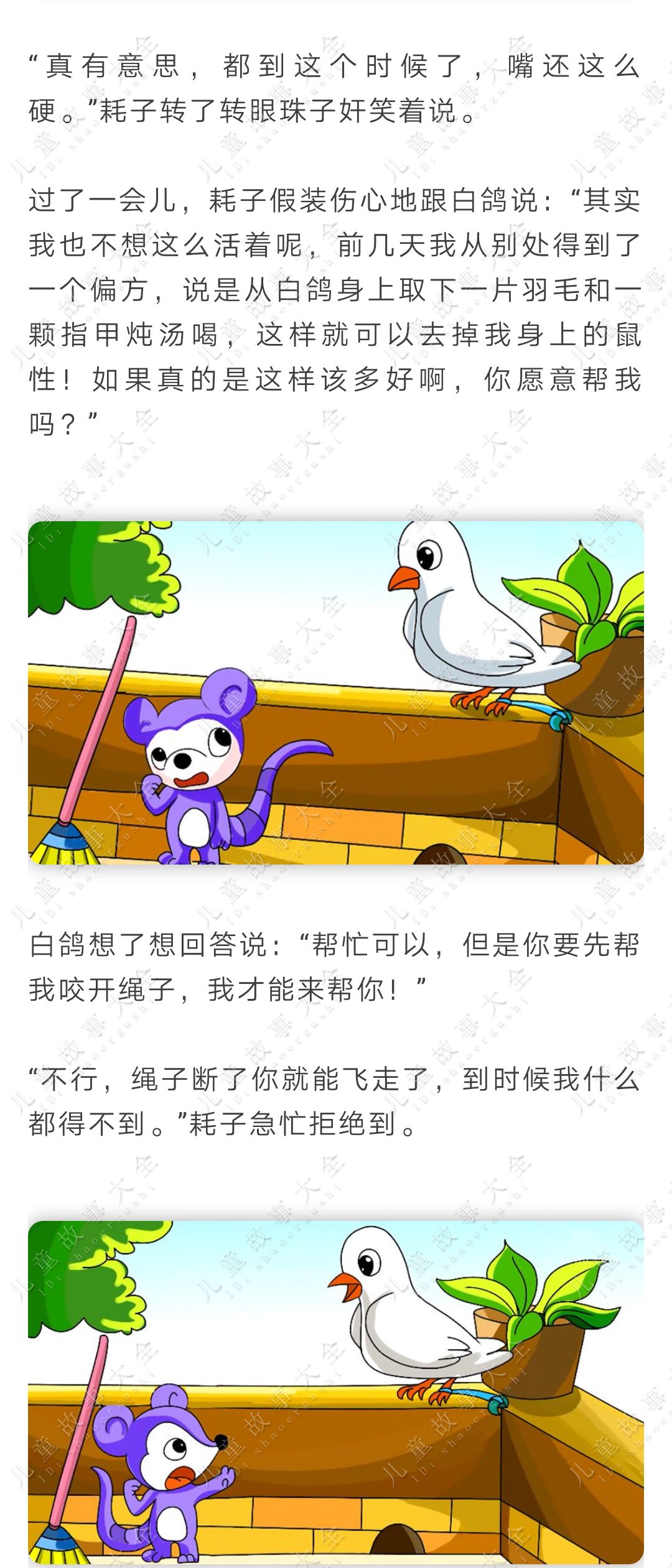 儿童故事《机智勇敢的小白鸽 嘟嘟的睡前故事