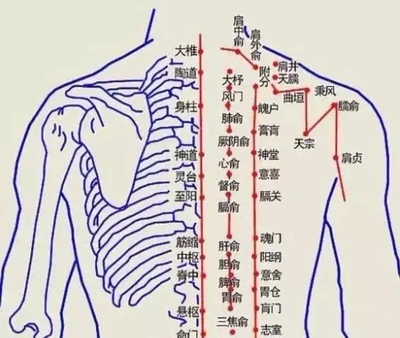 ②中脘:中脘穴处于胃的中部,有温中健脾,行气止痛的功效,胃寒必灸,可