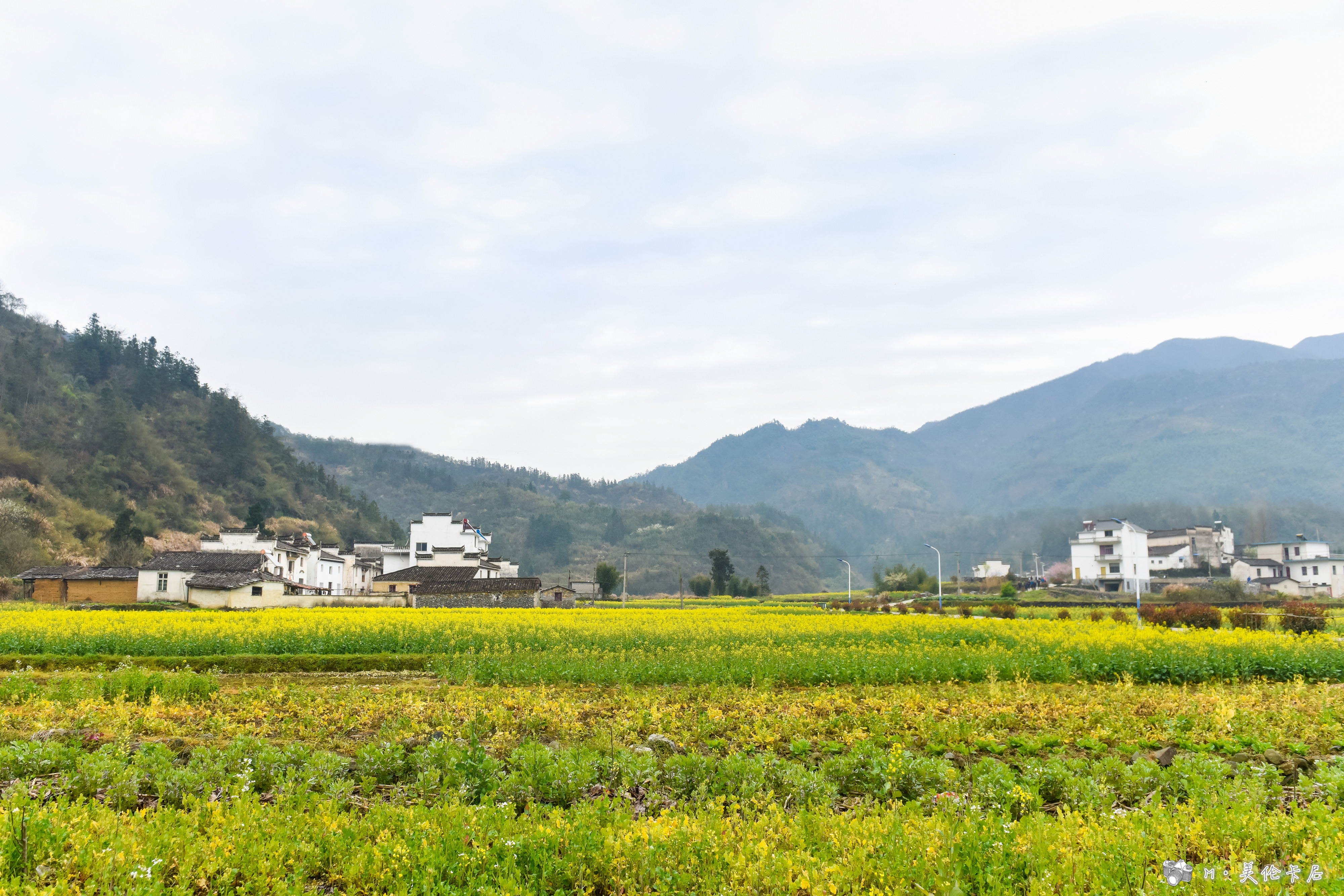 千里莺啼绿映黄郭村山水酒旗风