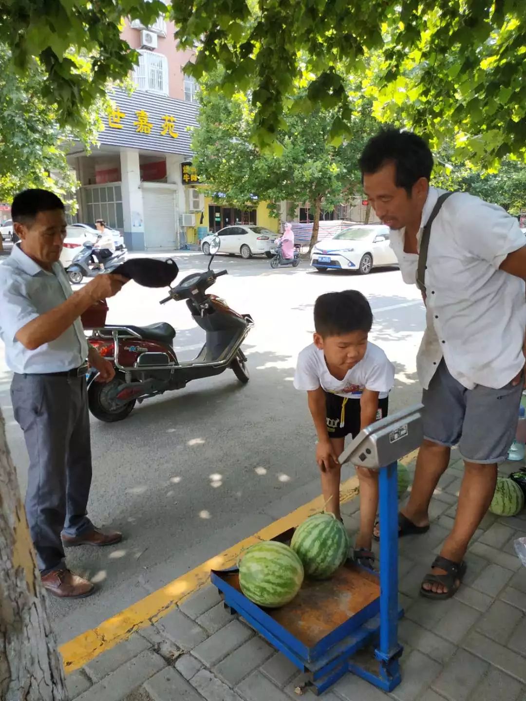 卖瓜人帮你挑的西瓜，能要吗？(卖瓜人帮你挑的西瓜,能要吗视频)-第2张图片-鲸幼网