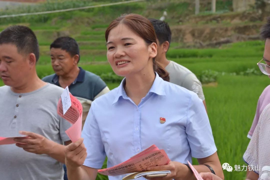 乡村振兴铁山镇组织姬松茸产业种植现场观摩