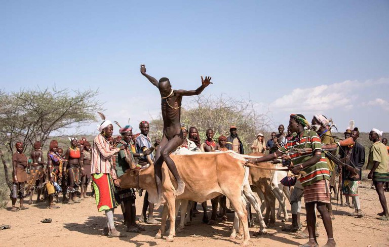 非洲跳牛节图片