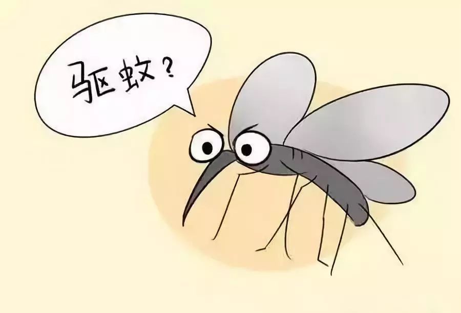 夏天,防范蚊虫叮咬尤为重要,因此,这里将介绍不被蚊虫叮的3个方法 1.