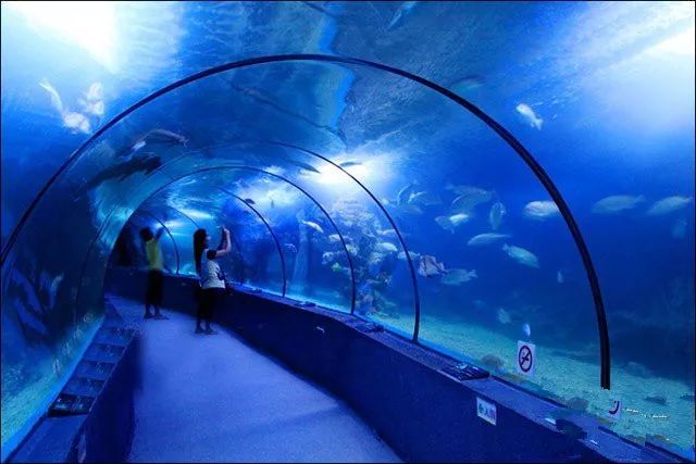 蓬莱水族馆图片