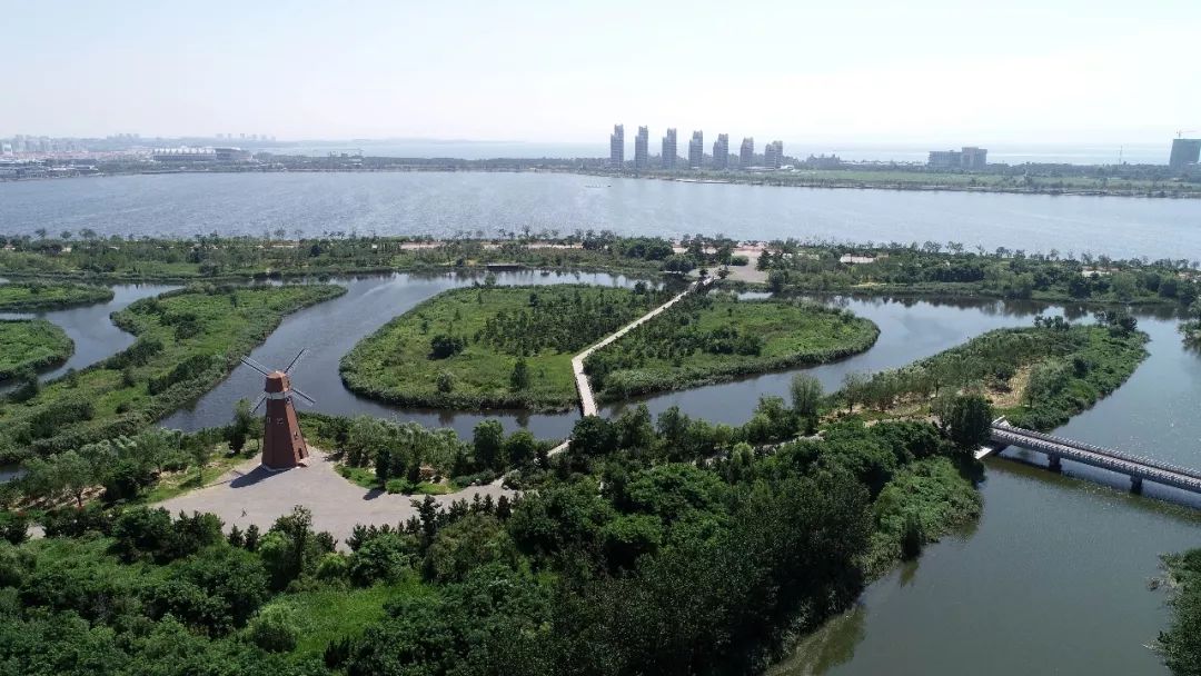 荣县河西新区湿地公园图片
