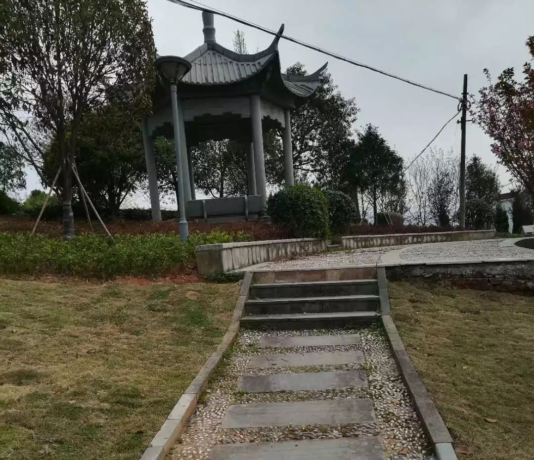 佛堂鎮團力村;蘇溪鎮徐樟塘村;大陳鎮大陳三村,溪後村,宦塘村,紅峰村