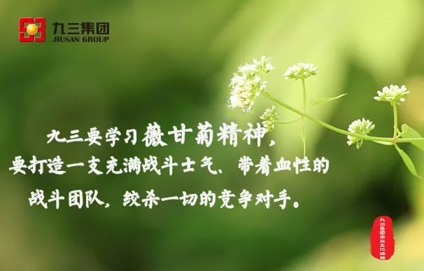 薇甘菊精神图片