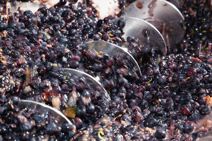 家常食物解码葡萄酒以葡萄酿制但原来不一定是素