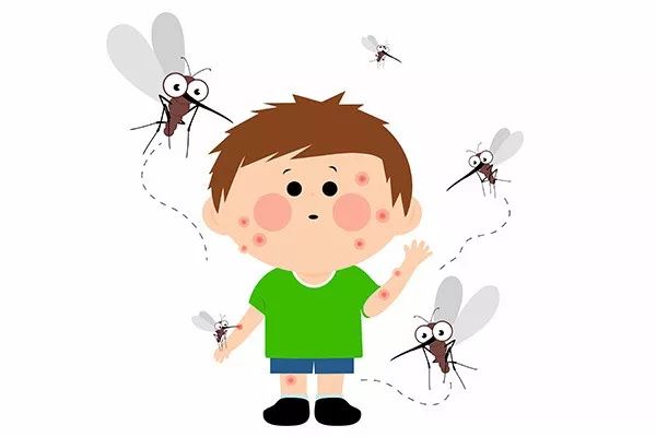 登革热来袭!今年广东病例增38%,三轮统一灭蚊行动开始啦!