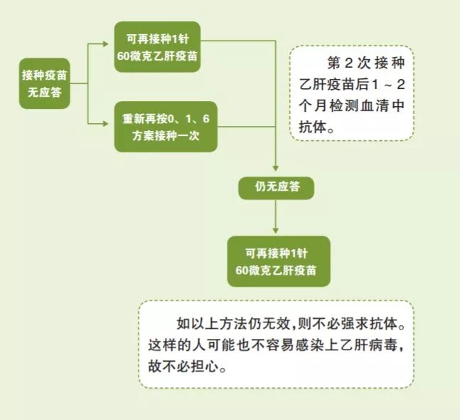 科普打进身体的乙肝疫苗会过期吗