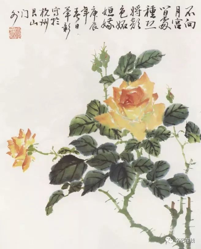 国画学习茶花月季的画法