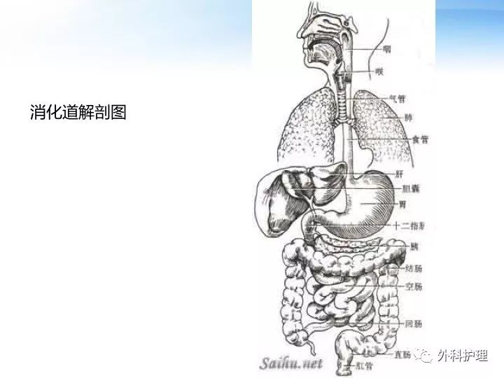 消化道穿孔護理查房