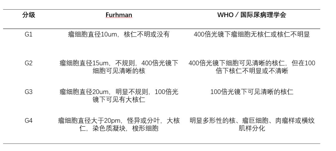 furhman分级与who分级对比在最新的肾癌分类里面,多发房性囊性肾细胞