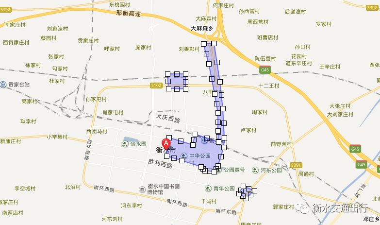 衡水116路公交车路线图图片