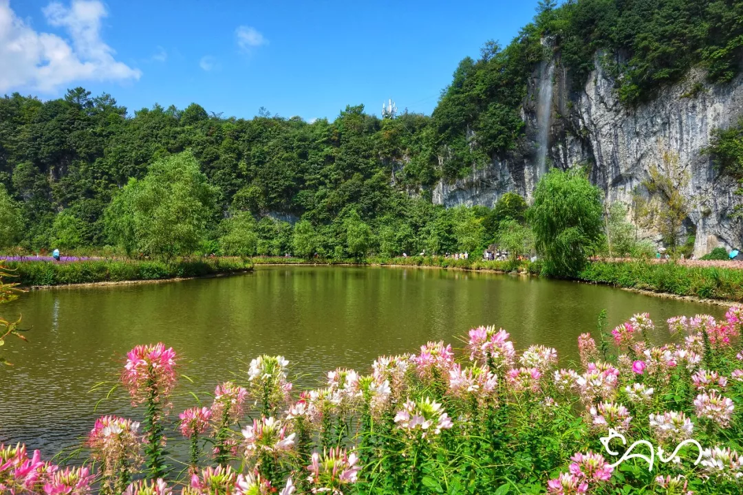 花坝旅游景区图片