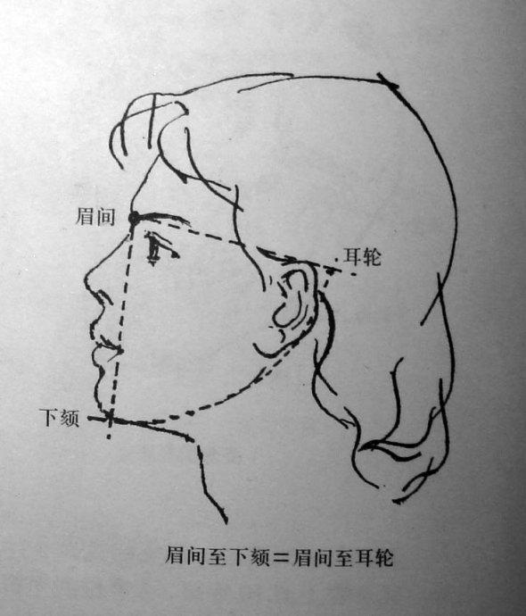 素描基礎教程和素描基礎知識的講解怎樣才能畫好人體素描