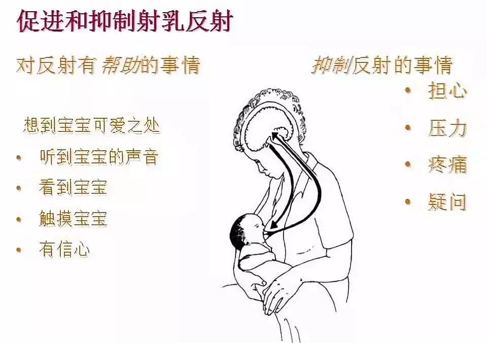 【最好的疫苗    妈妈的奶】母乳喂养与产后乳房保健