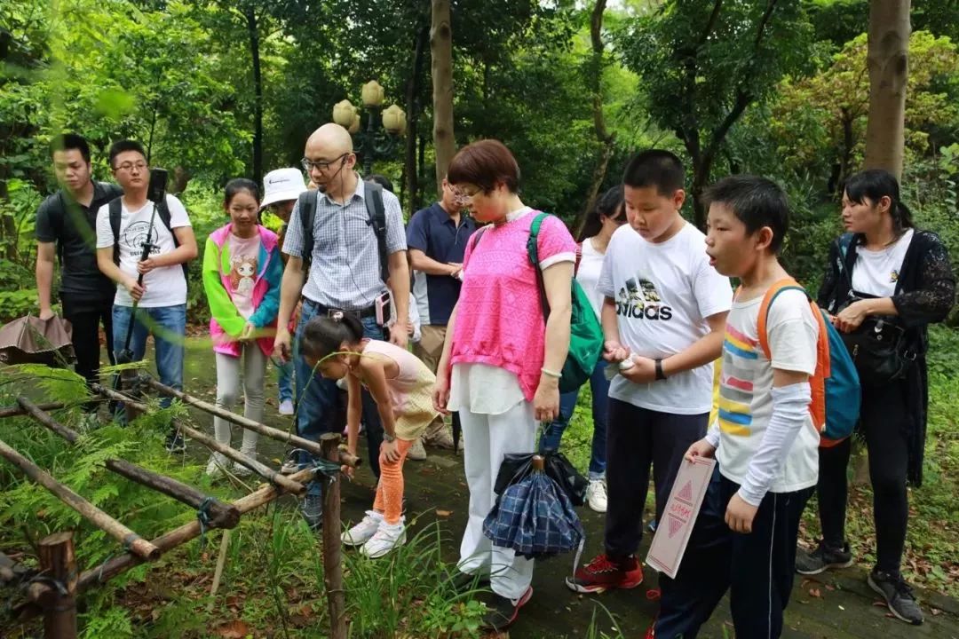 小小李时珍们探寻药王山走进神奇中医药世界