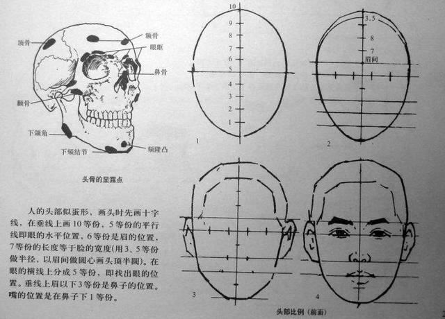 頭骨簡單的解剖知識必須記住素描的秩序,什麼是結構!