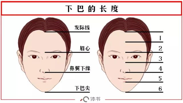 下巴面相图解图片