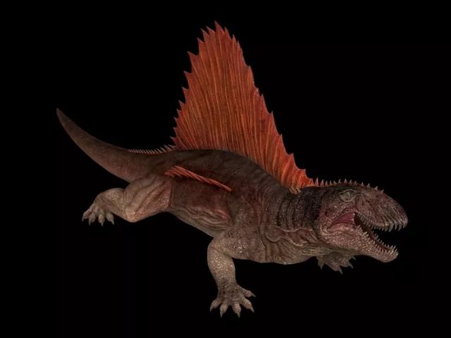 长棘龙长棘龙号称恐龙届顶级捕食者,可能抓到什么就吃什么,包括昆虫