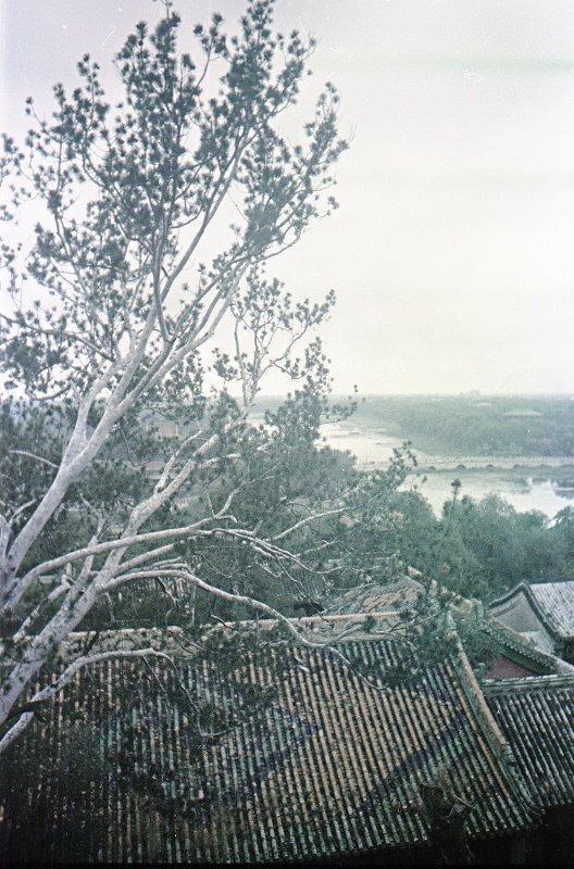 1949年頤和園秀麗風光 乾隆孝敬母親而建 慈禧挪用軍費重修 歷史 第12張