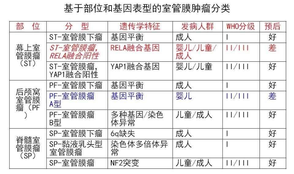 [病理诊断]广东省人民医院李智:胶质瘤的病理诊断 从组织学表型到分子