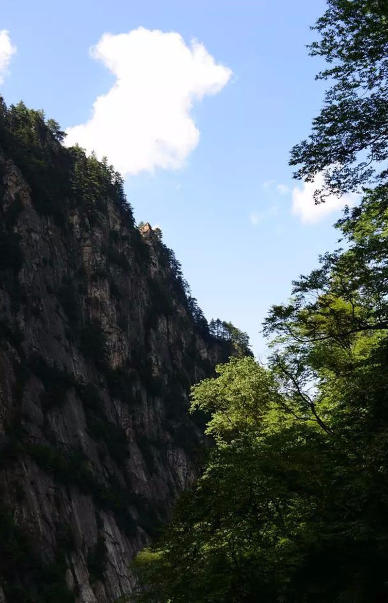 19℃的夏天,陝西寶雞這處清涼山水,夏日不暑,景色美醉