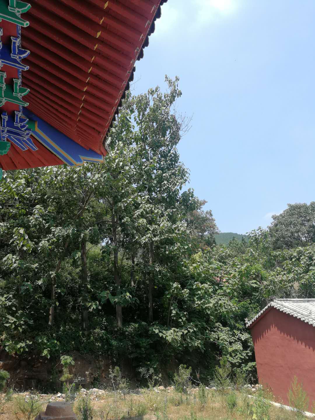 玩转临沂走进千年古刹中山寺