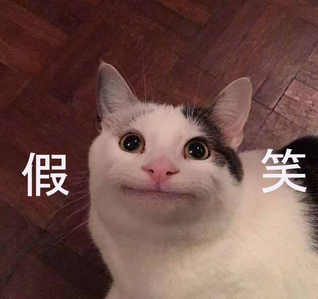 微笑猫ollie表情包图片