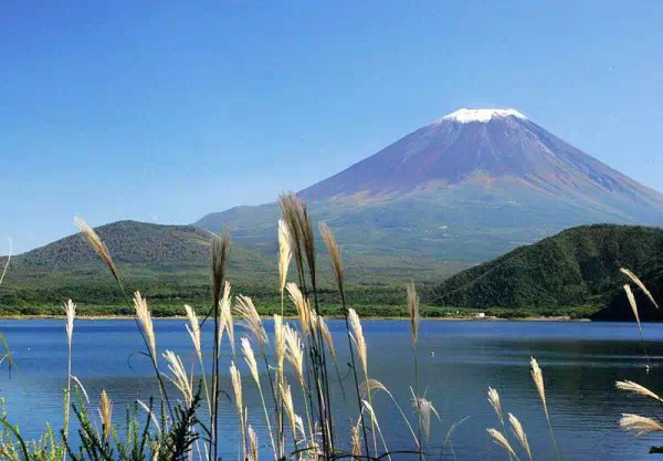 史上最贴心的日本富士山自由行攻略 不去一次都不好意思了