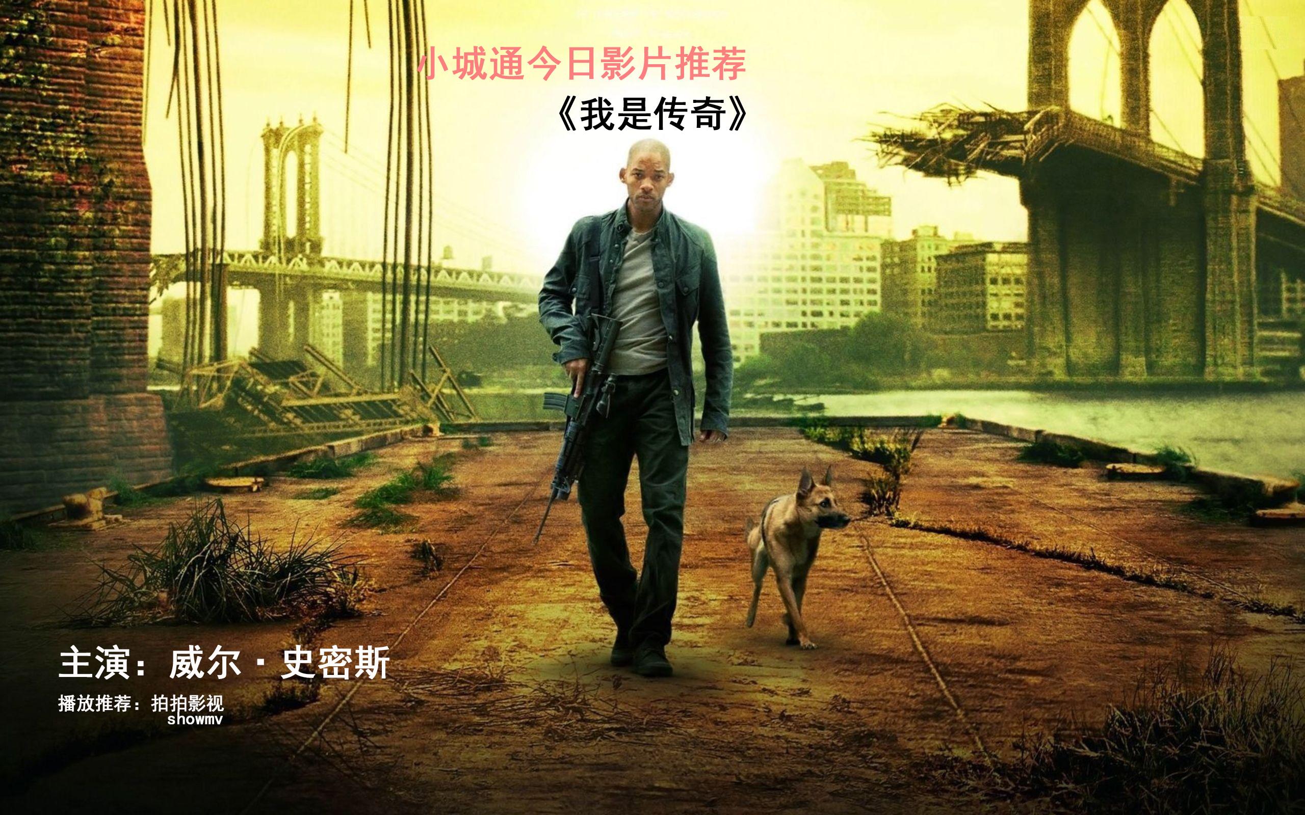 我是传奇 电影 2007图片