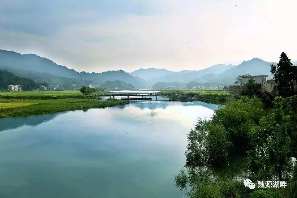魏源湖湿地公园图片