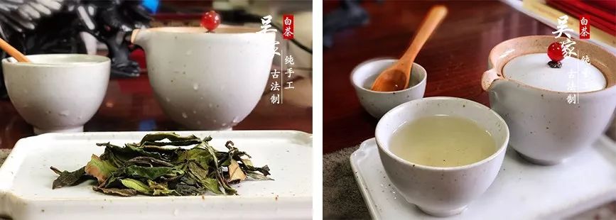 【一年茶:因为白茶属于微发酵茶,所以刚制作出来的头年白茶,滋味鲜