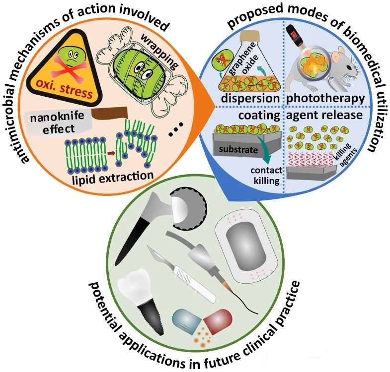 石墨烯材料在抗菌纳米医学领域的研究现状与应用展望