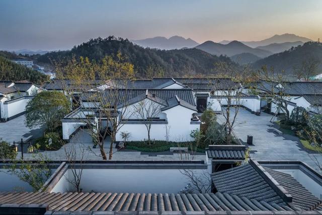 綠城浙江安吉桃花源方竹園簡約線條刻畫中式風骨