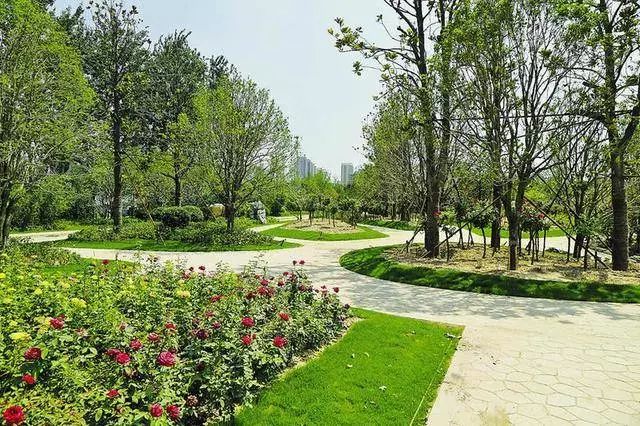 南湖公園效果圖北園建設為核心景觀展示園,以南湖為中心,周圍建設櫻花