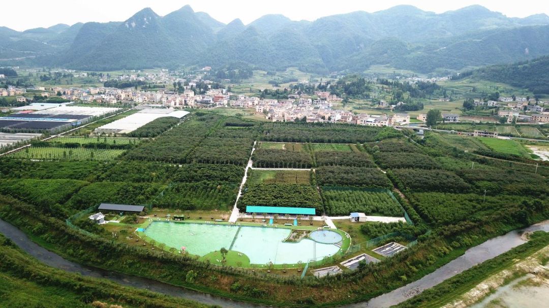 观光步道(陈世海 摄 千亩荷塘航拍(曾加录 摄)偶遇"梦幻田园"