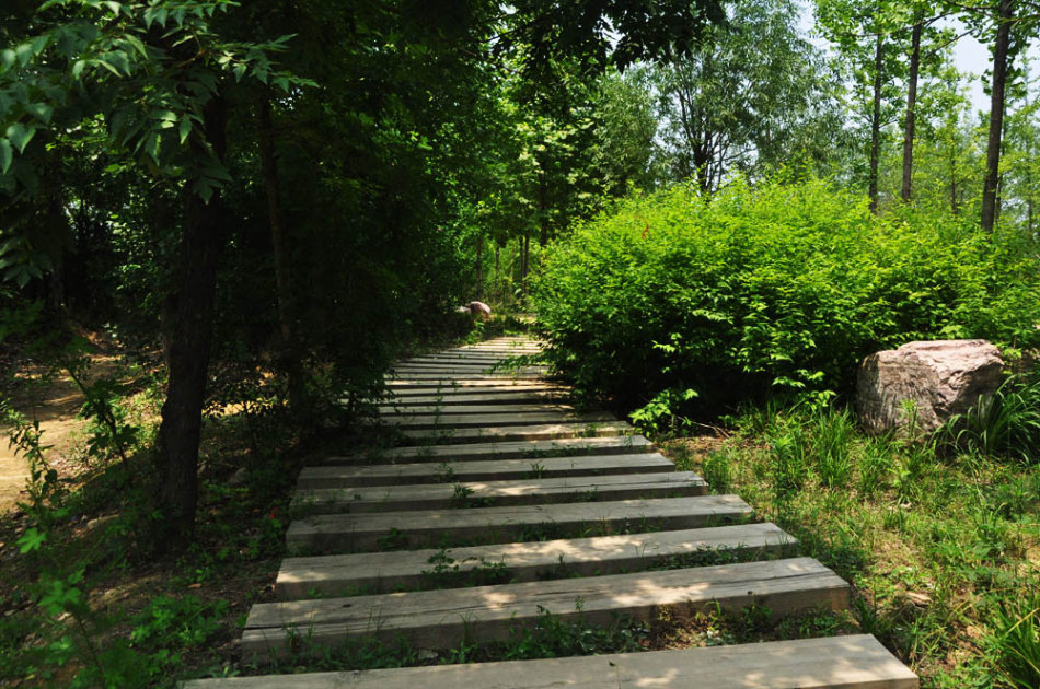 文博森林公园位于于郑州市区西南部,二七区侯寨乡尖岗水库南侧,樱桃沟